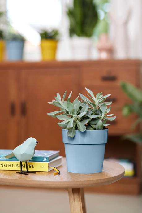 b.for original round 18cm azul grisáceo